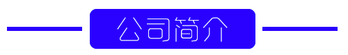 公司簡介