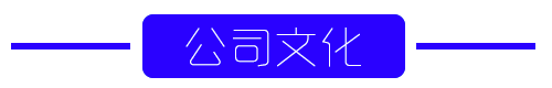 公司文化